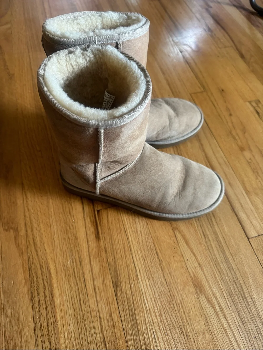 UGG® Classic II Genuine Shearling Lined Short Boot (Women)